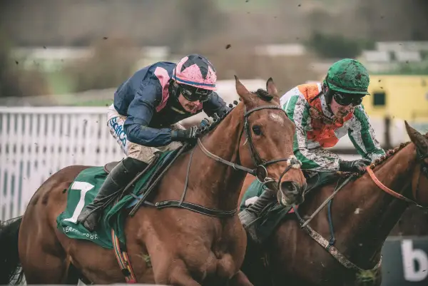 Horse racing at Cheltenham Racecourse.